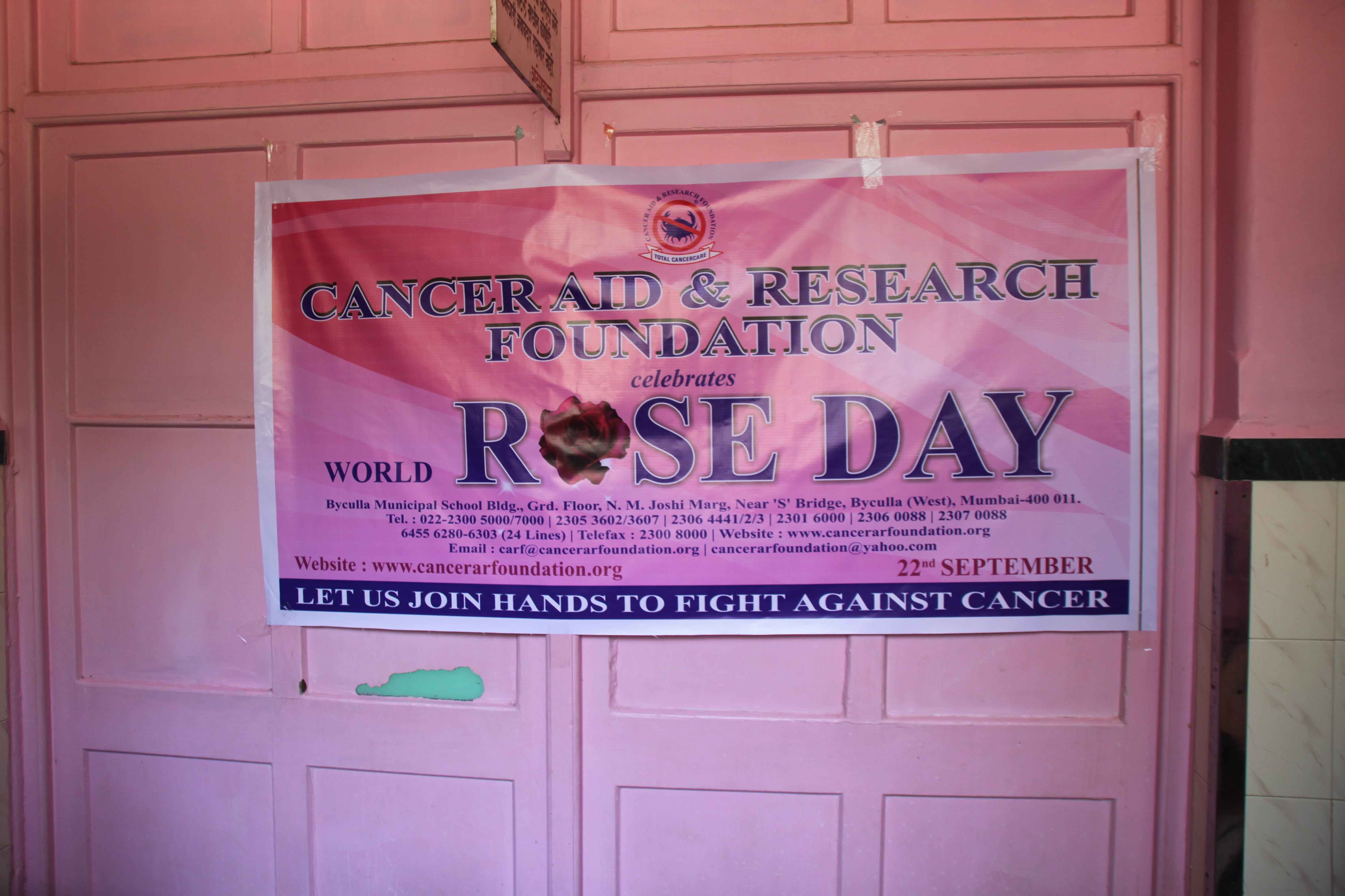 Rose Day  photo gallery cover