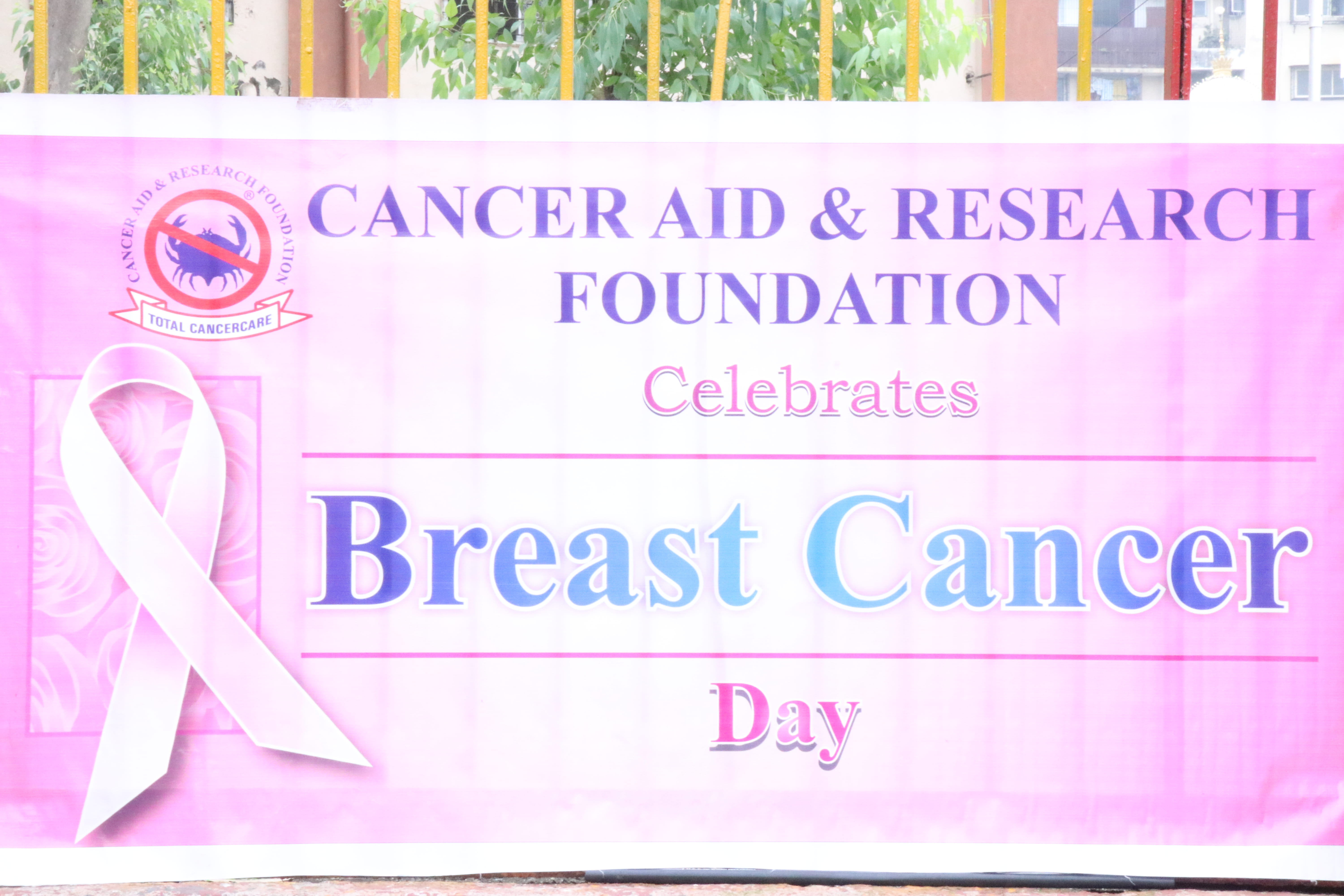 Breast Cancer Day  photo gallery cover